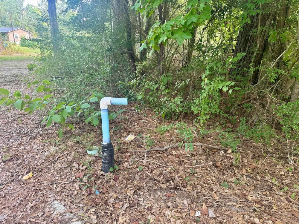 Buffalo Lane Silsbee, TX 77656