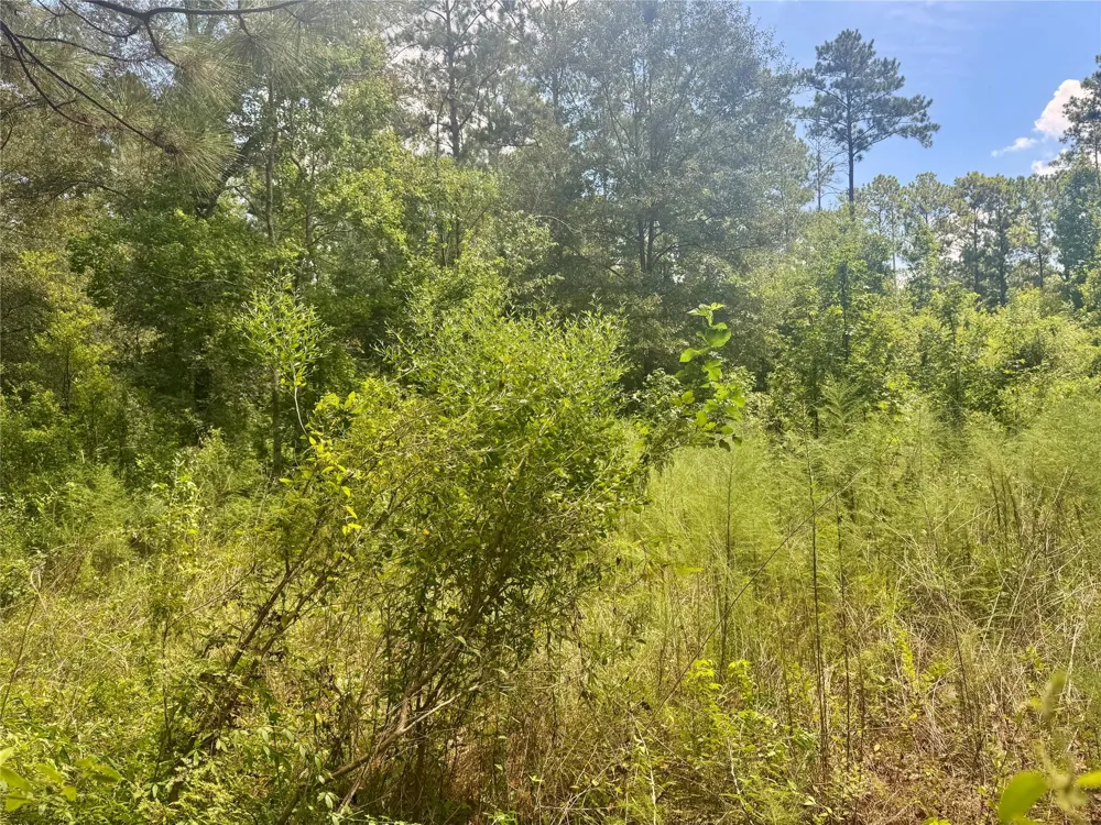 Buffalo Lane Silsbee, TX 77656