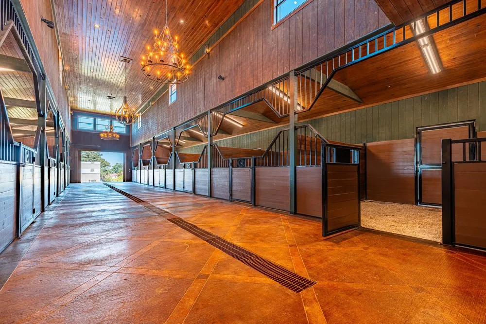 23981 Old Dobbin Plantersville Road Montgomery, TX 77316