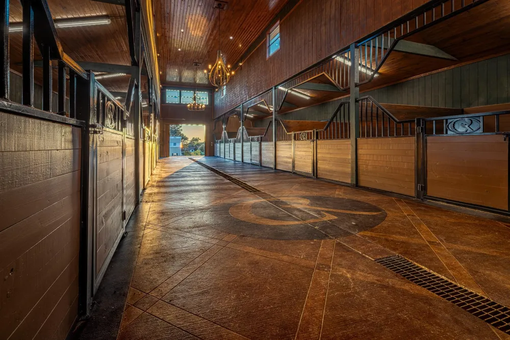 23981 Old Dobbin Plantersville Road Montgomery, TX 77316