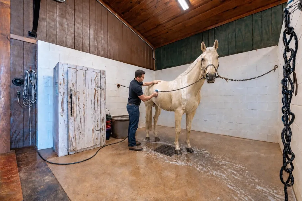 23981 Old Dobbin Plantersville Road Montgomery, TX 77316