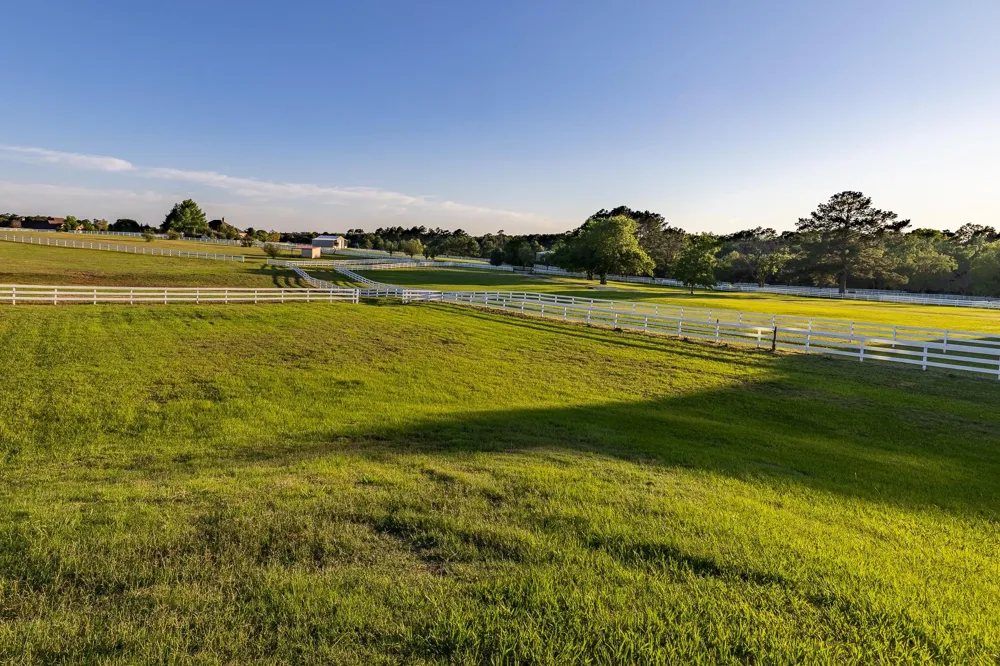23981 Old Dobbin Plantersville Road Montgomery, TX 77316
