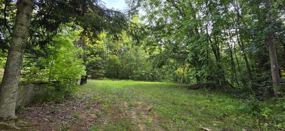 7925 Michigan 18 Gladwin, MI 48624
