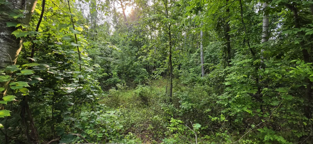 7925 Michigan 18 Gladwin, MI 48624