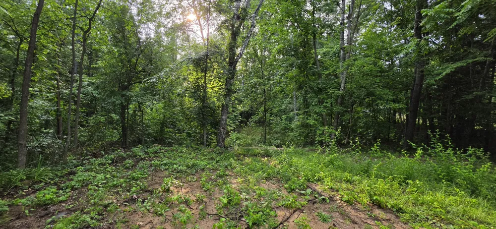 7925 Michigan 18 Gladwin, MI 48624