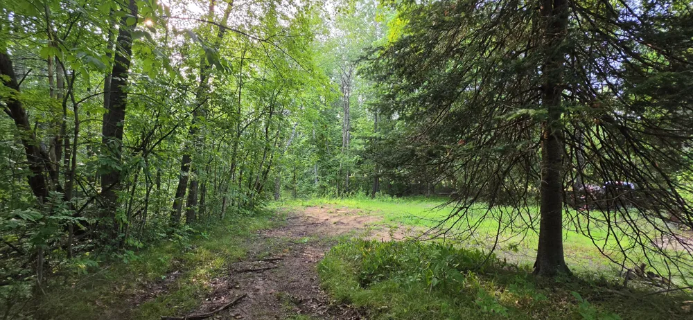 7925 Michigan 18 Gladwin, MI 48624