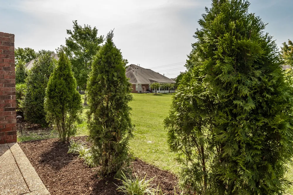 1309 Waxwing Dr Hermitage, TN 37076