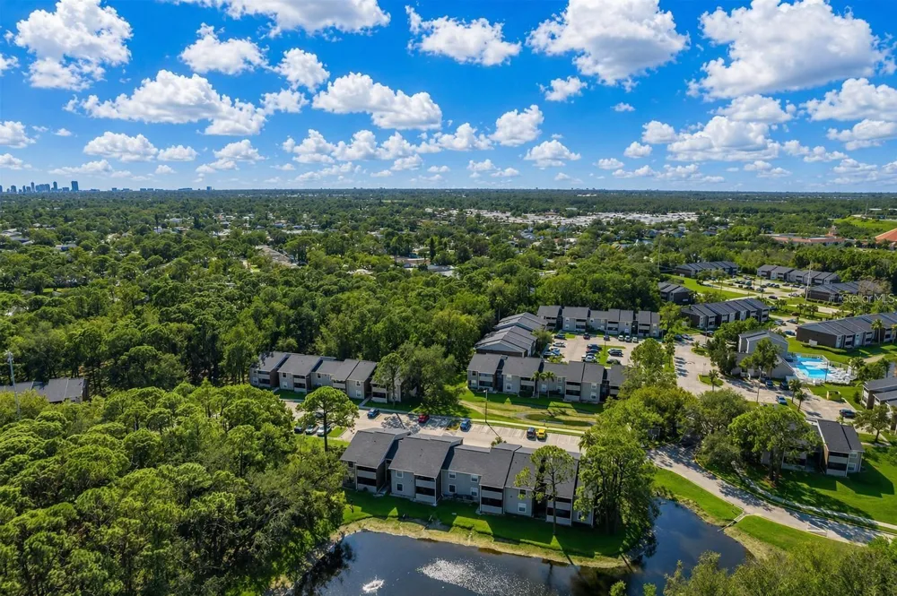 1400 GANDY BOULEVARD #816 St Petersburg, FL 33702