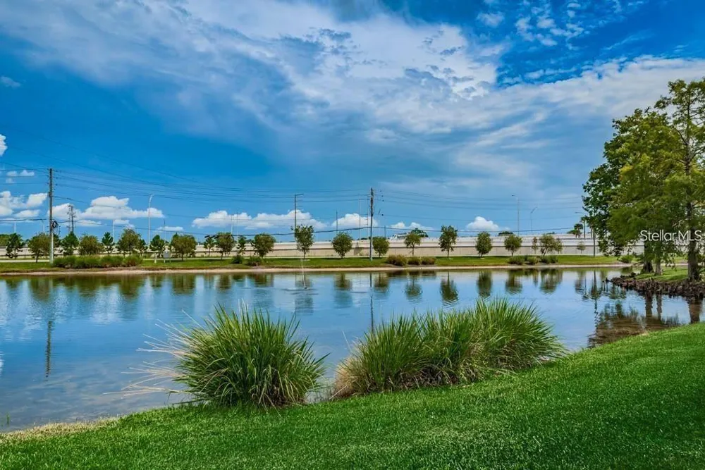 1400 GANDY BOULEVARD #816 St Petersburg, FL 33702