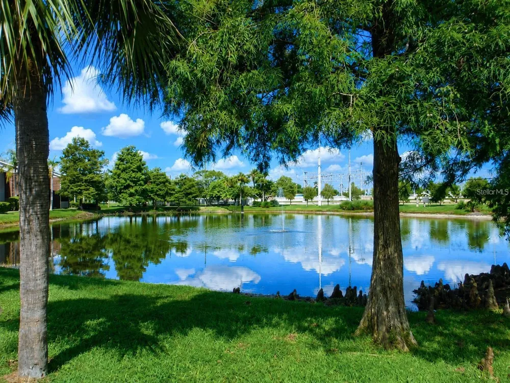 1400 GANDY BOULEVARD #816 St Petersburg, FL 33702
