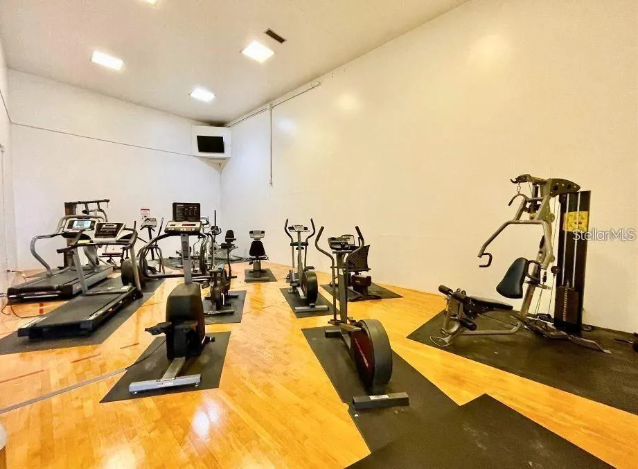 1400 GANDY BOULEVARD #816 St Petersburg, FL 33702