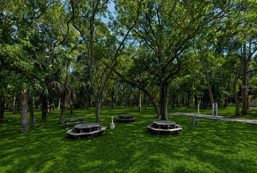 1400 GANDY BOULEVARD #816 St Petersburg, FL 33702