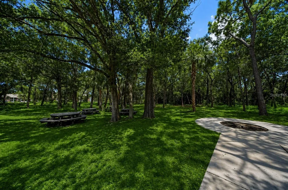1400 GANDY BOULEVARD #816 St Petersburg, FL 33702