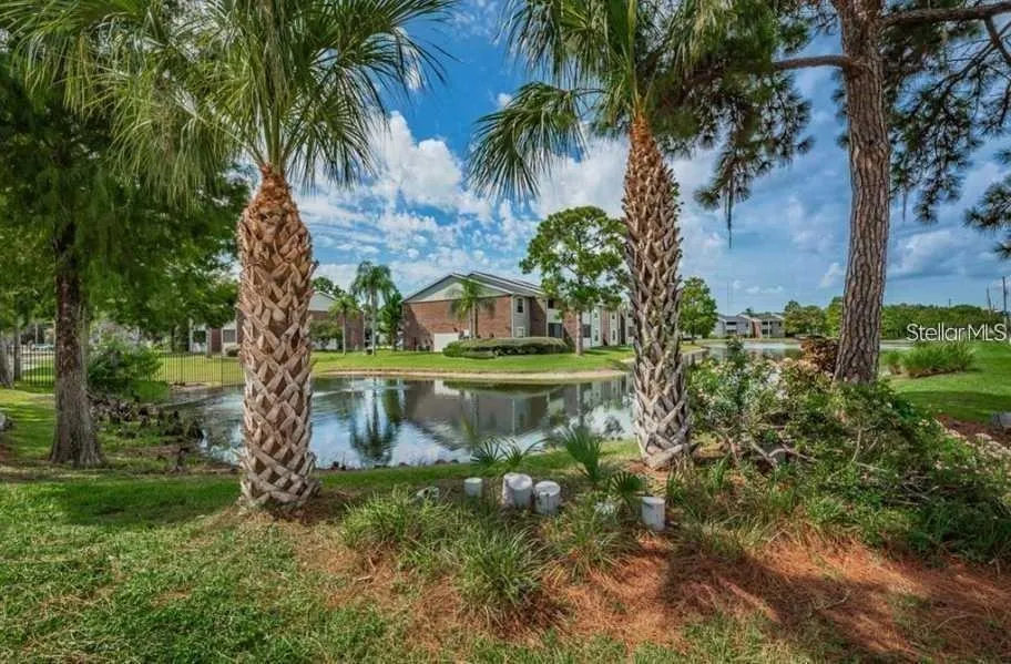 1400 GANDY BOULEVARD #816 St Petersburg, FL 33702
