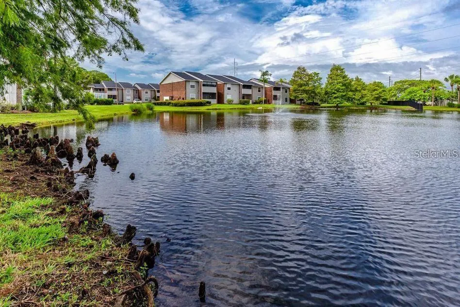 1400 GANDY BOULEVARD #816 St Petersburg, FL 33702