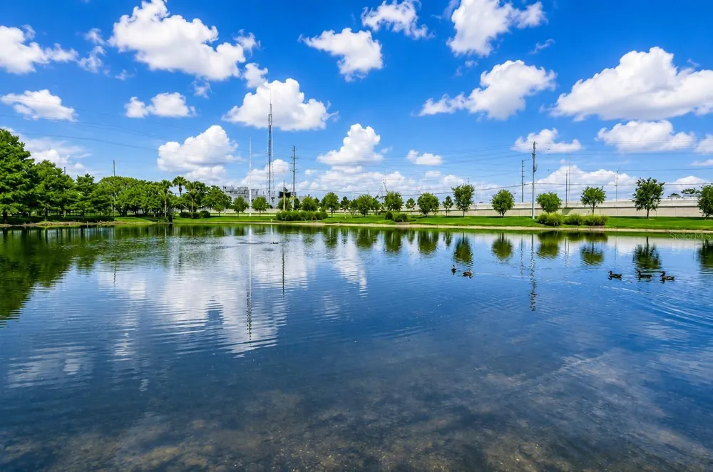 1400 GANDY BOULEVARD #816 St Petersburg, FL 33702