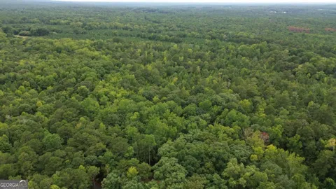 0 Roosevelt HWY - 20.58 Acres