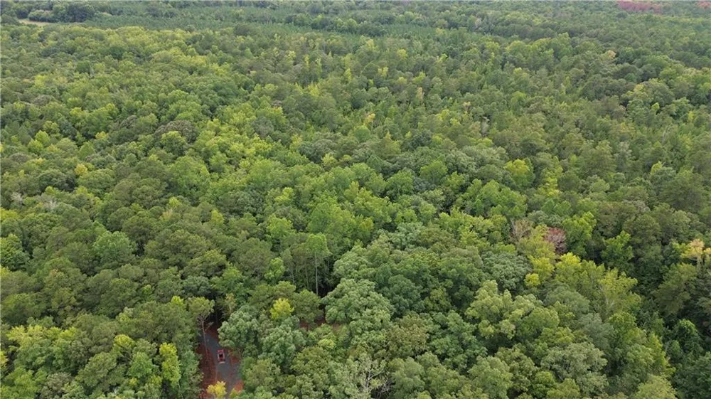 0 Roosevelt HWY - 20.58 Acres Warm Springs, GA 31830