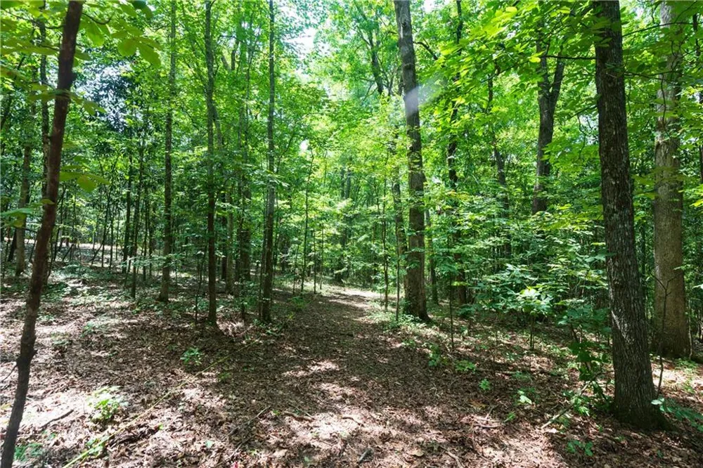 0 Roosevelt HWY - 20.58 Acres Warm Springs, GA 31830