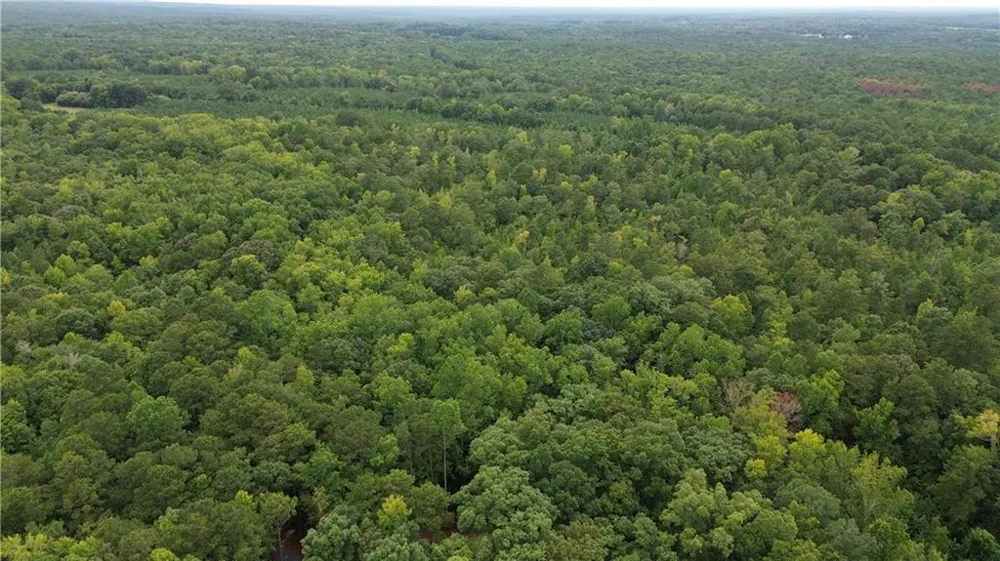 0 Roosevelt HWY - 20.58 Acres Warm Springs, GA 31830