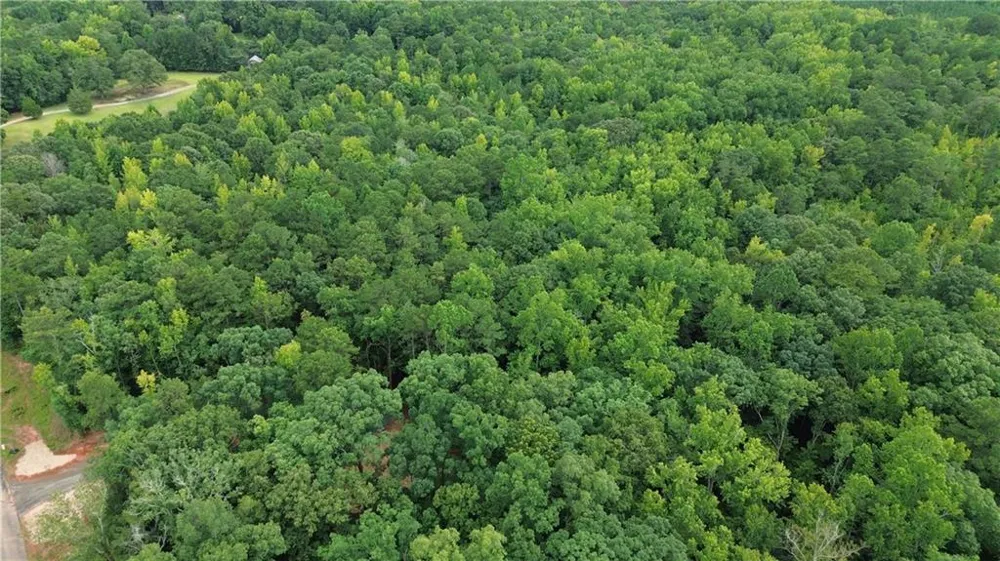 0 Roosevelt HWY - 20.58 Acres Warm Springs, GA 31830