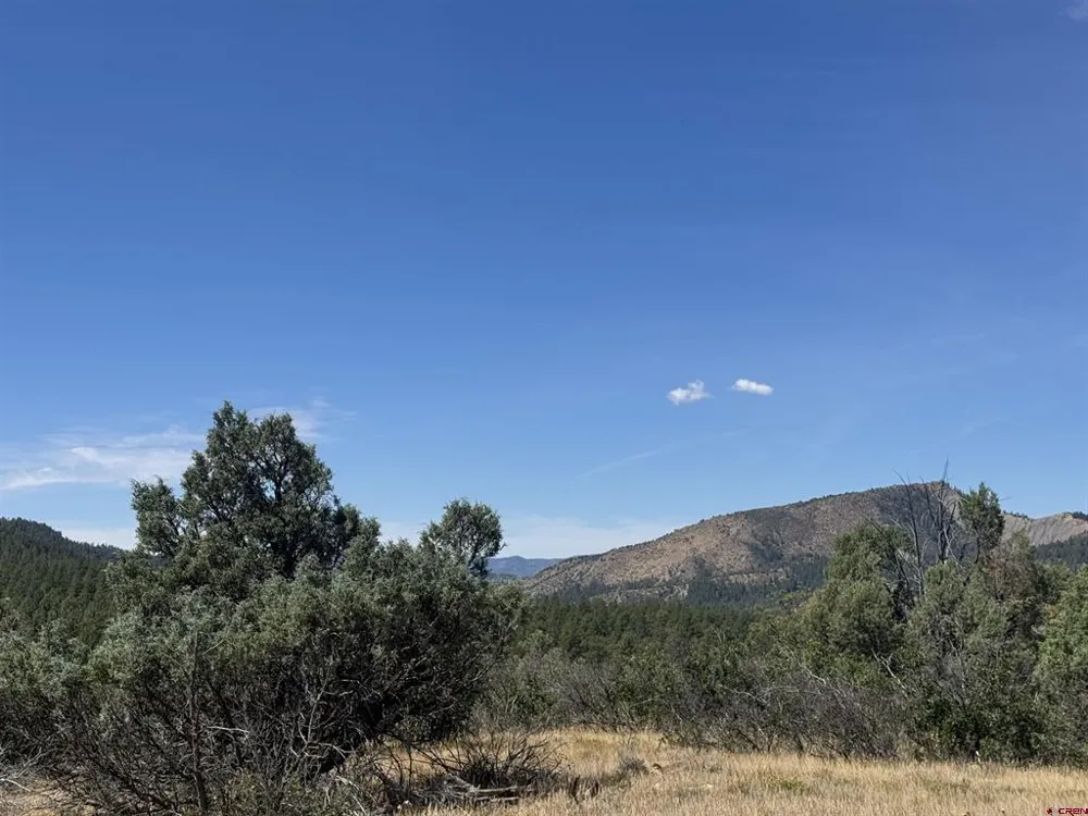 941 975,995 & 1027 Hurt Drive Pagosa Springs, CO 81147