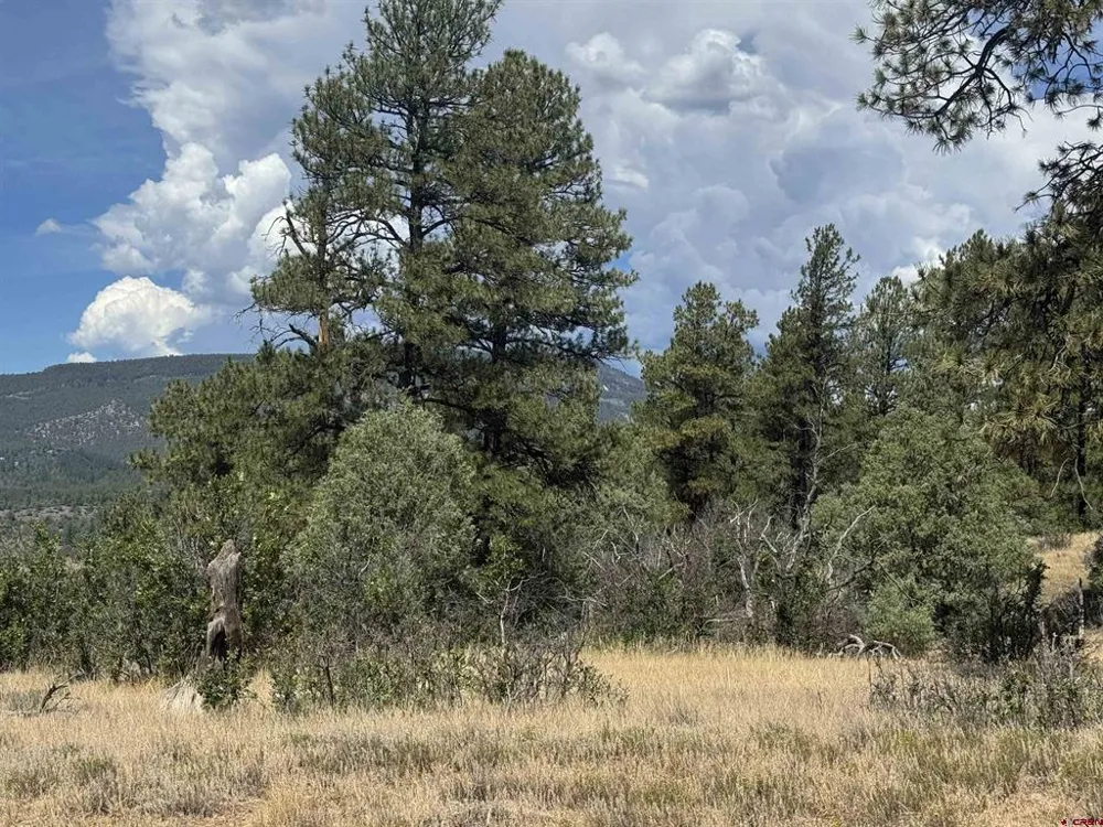 941 975,995 & 1027 Hurt Drive Pagosa Springs, CO 81147