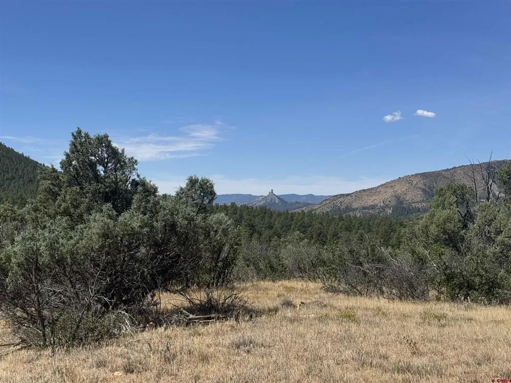941 975,995 & 1027 Hurt Drive Pagosa Springs, CO 81147