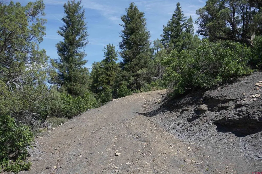 941 975,995 & 1027 Hurt Drive Pagosa Springs, CO 81147