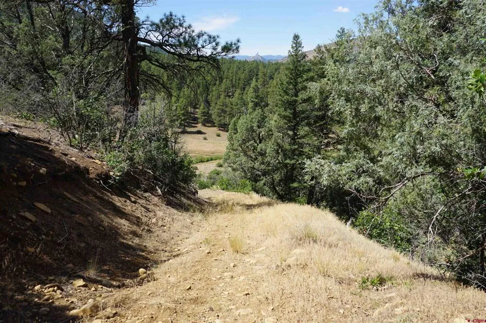 941 975,995 & 1027 Hurt Drive Pagosa Springs, CO 81147