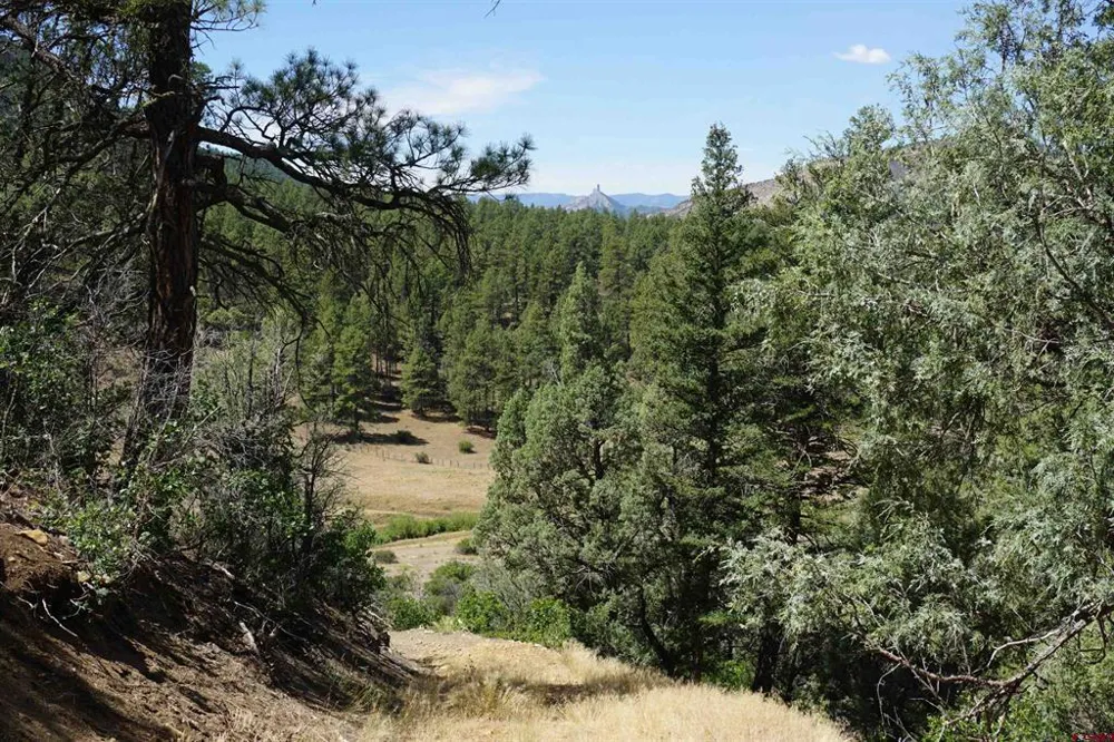 941 975,995 & 1027 Hurt Drive Pagosa Springs, CO 81147