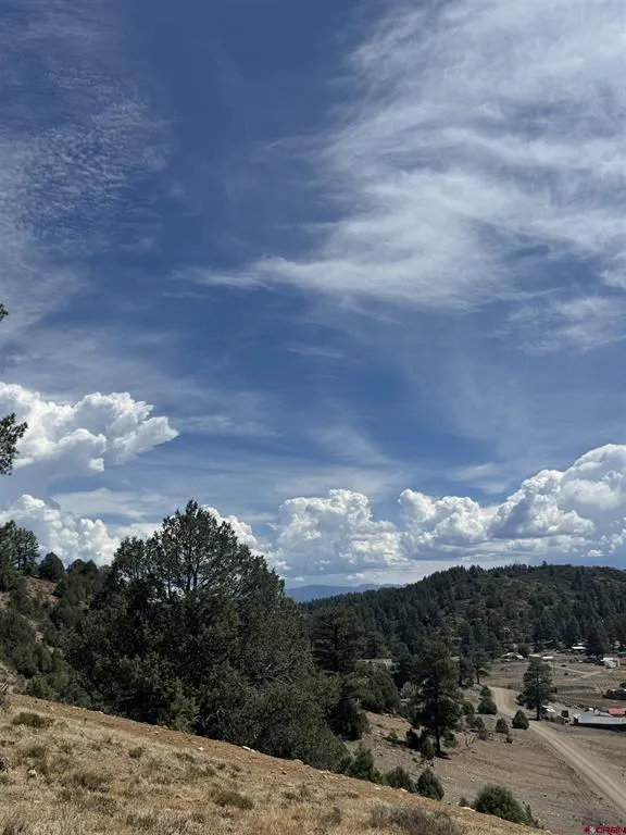 941 975,995 & 1027 Hurt Drive Pagosa Springs, CO 81147