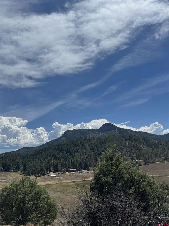 941 975,995 & 1027 Hurt Drive Pagosa Springs, CO 81147