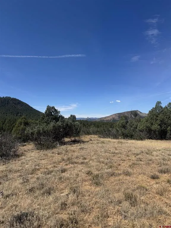 941 975,995 & 1027 Hurt Drive Pagosa Springs, CO 81147