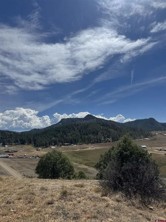 941 975,995 & 1027 Hurt Drive Pagosa Springs, CO 81147