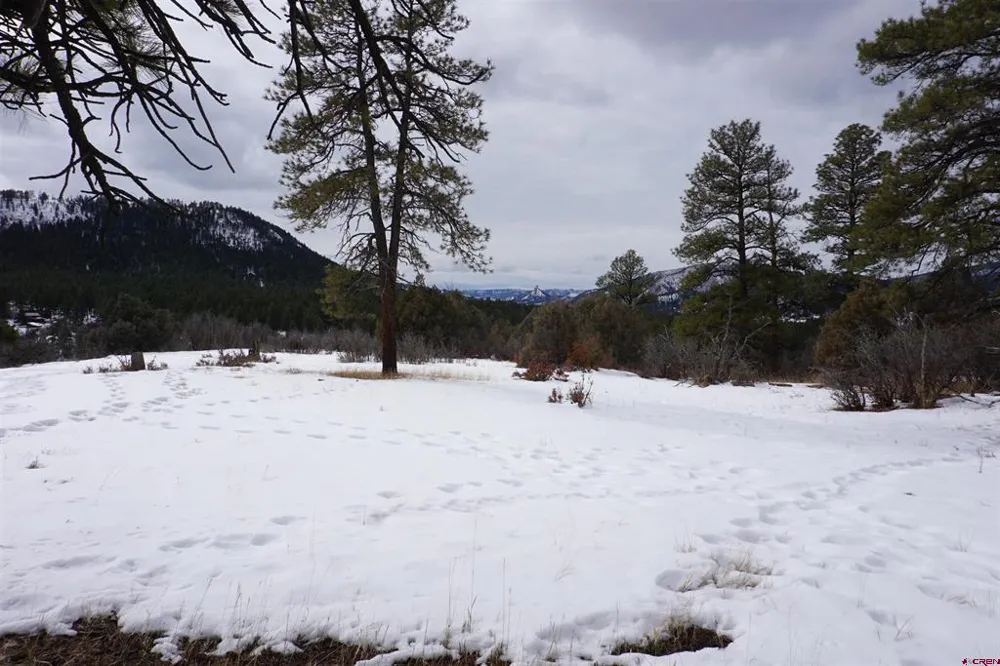 941 975,995 & 1027 Hurt Drive Pagosa Springs, CO 81147