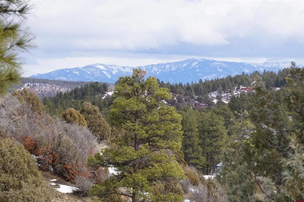 941 975,995 & 1027 Hurt Drive Pagosa Springs, CO 81147
