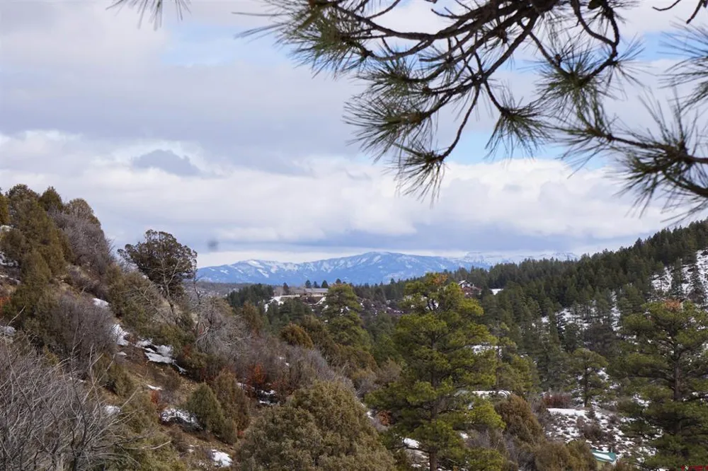 941 975,995 & 1027 Hurt Drive Pagosa Springs, CO 81147