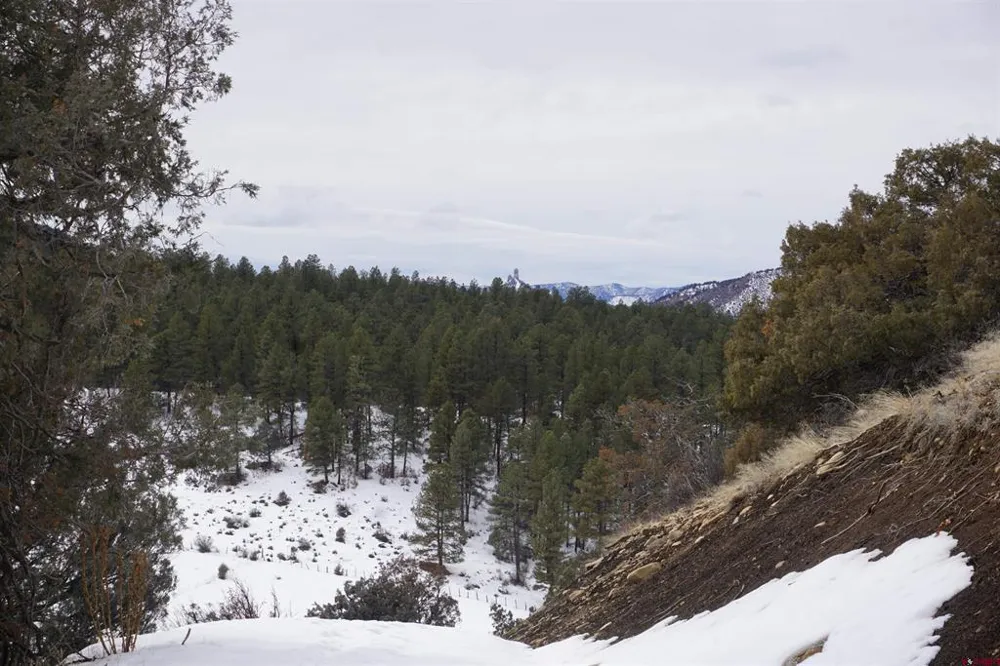 941 975,995 & 1027 Hurt Drive Pagosa Springs, CO 81147