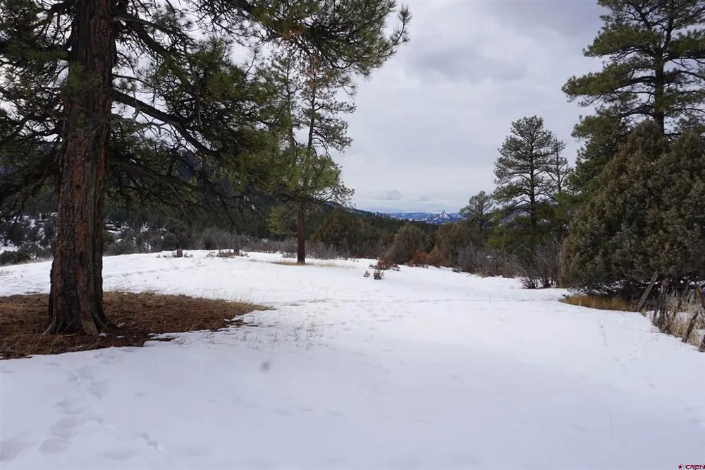 941 975,995 & 1027 Hurt Drive Pagosa Springs, CO 81147