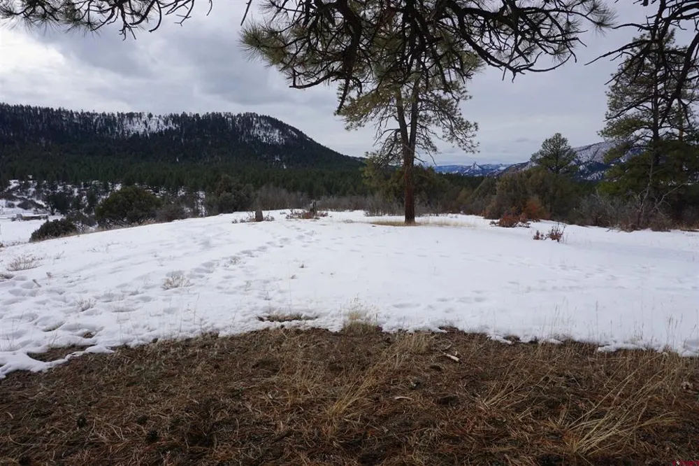 941 975,995 & 1027 Hurt Drive Pagosa Springs, CO 81147