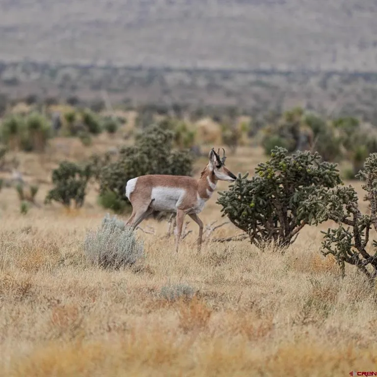 US 380 Carrizozo, NM 88301