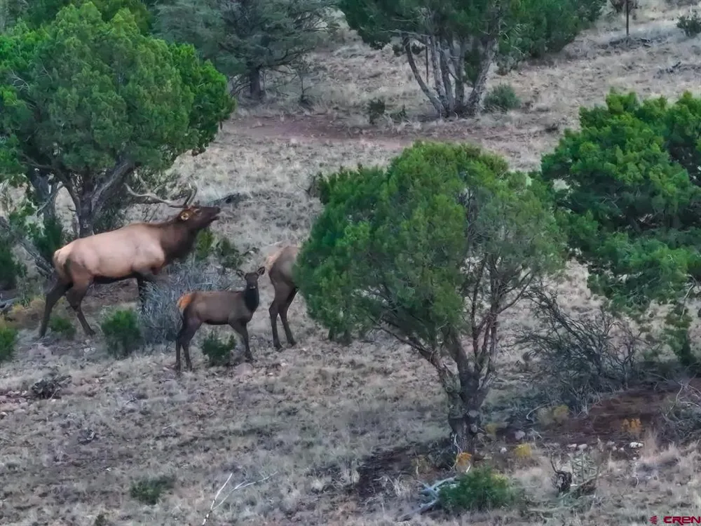 US 380 Carrizozo, NM 88301