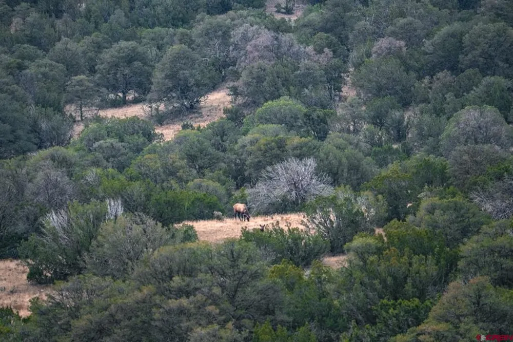 US 380 Carrizozo, NM 88301