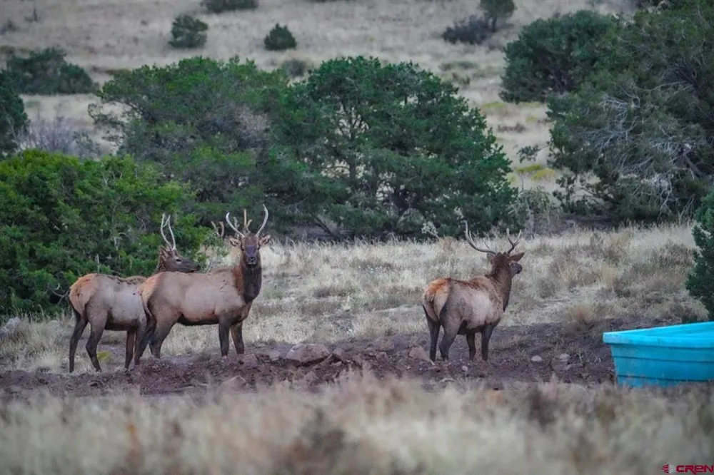 US 380 Carrizozo, NM 88301