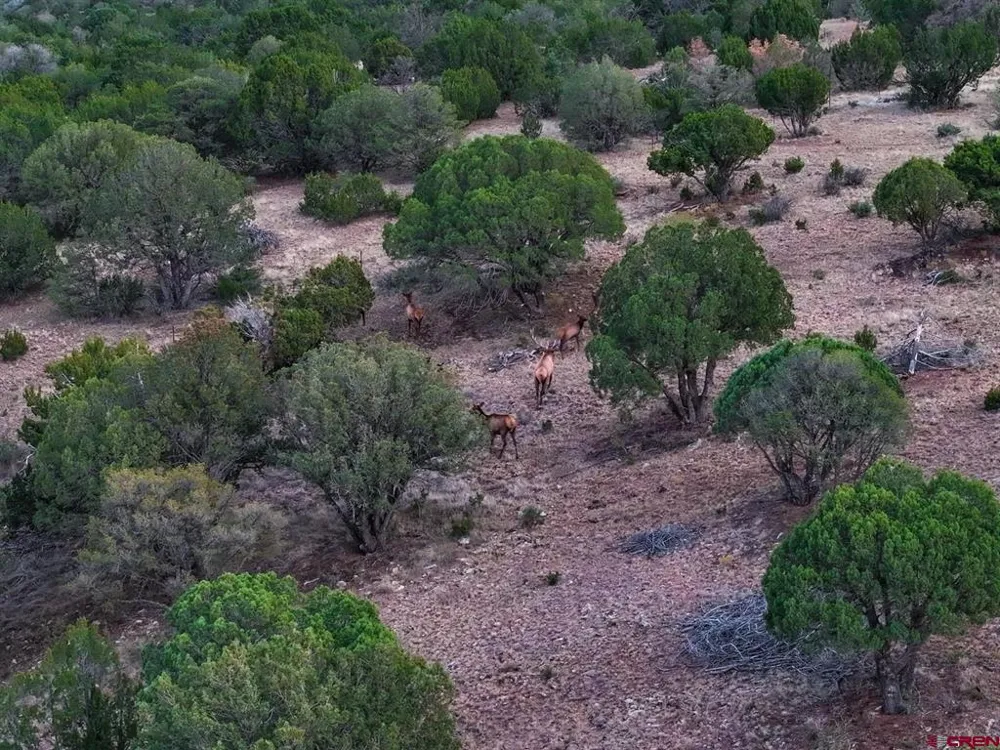 US 380 Carrizozo, NM 88301