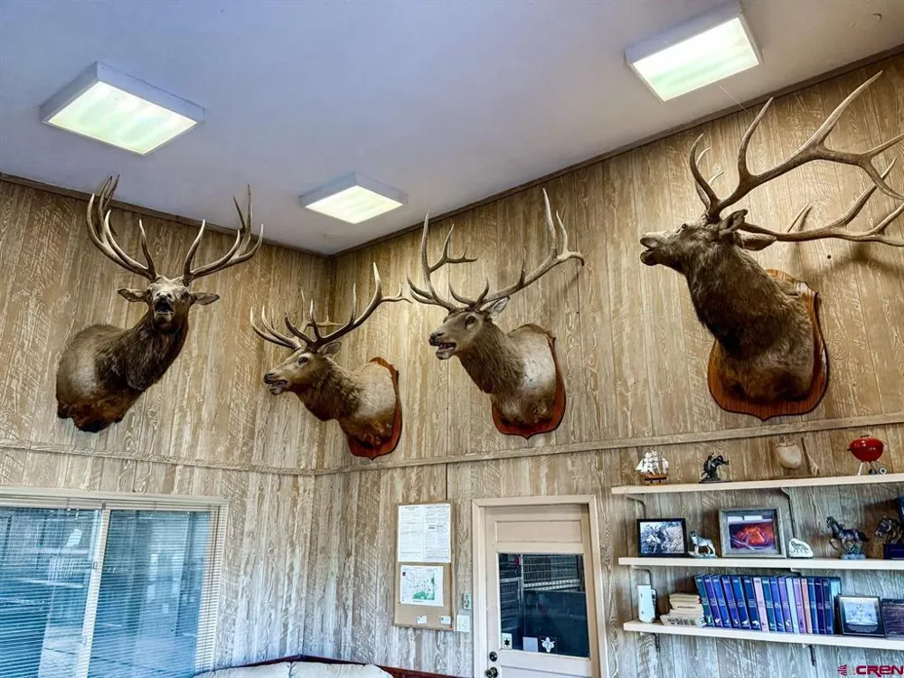 US 380 Carrizozo, NM 88301