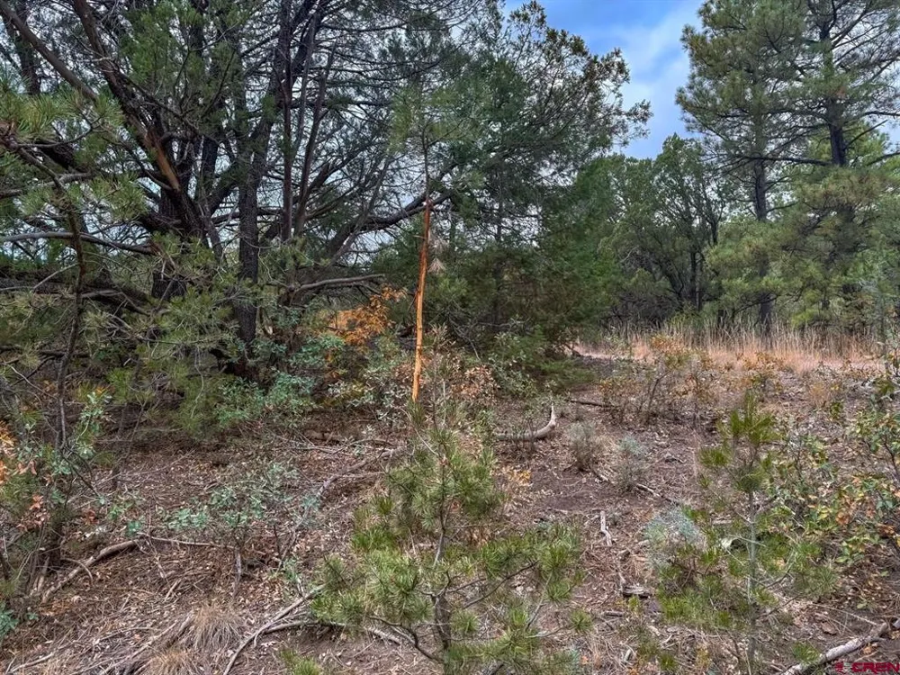 US 380 Carrizozo, NM 88301