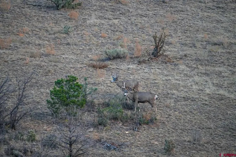 US 380 Carrizozo, NM 88301