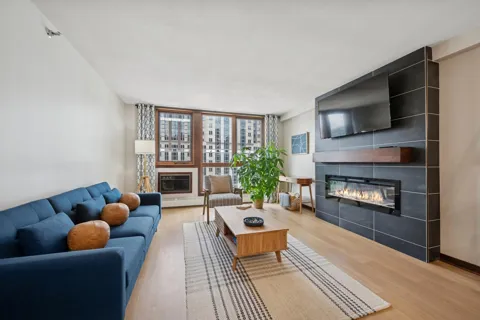 433 S 7th Street #1919